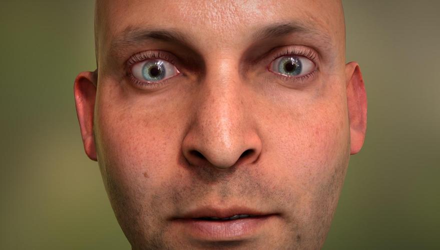 NVIDIA Tegra FaceWorks Demo