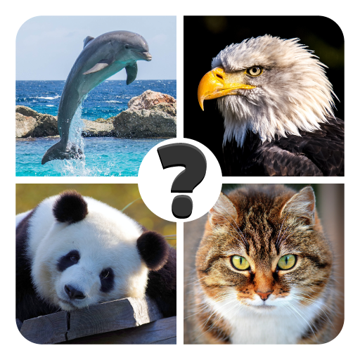 Animals quiz - guess animal