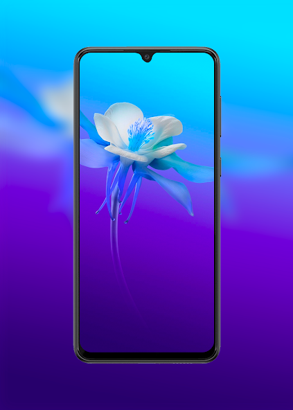 Vivo V21e & Vivo V21 Wallpaper