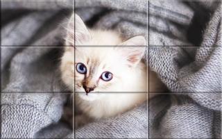 Puzzle - kittens