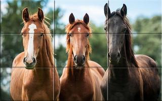 Puzzle - Beautiful Horses