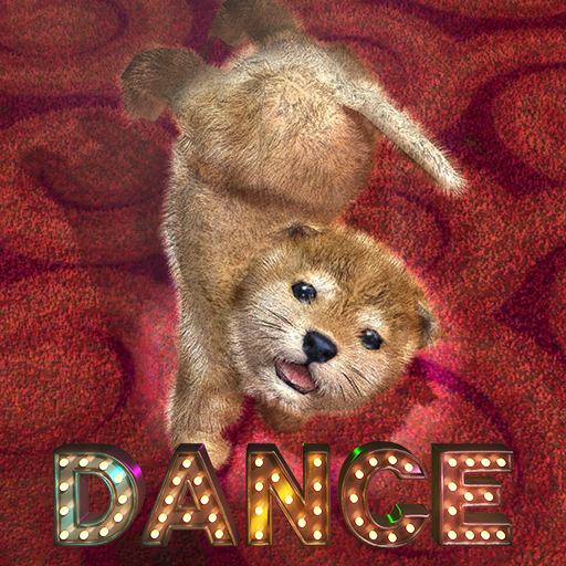 Animal Dance puppies