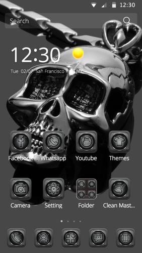 Silver theme skull