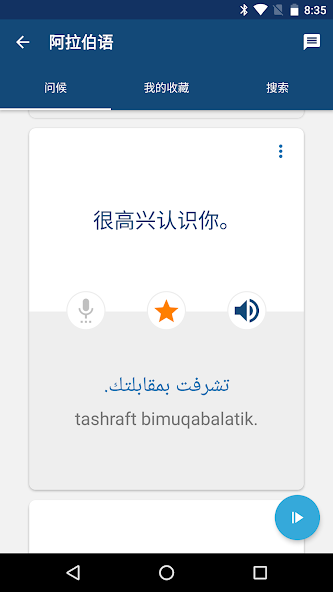 Learn Arabic Phrasebook