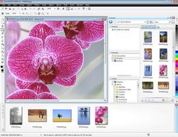 Corel Draw X7 video tutorials