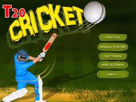 T20 Cricket Challenge