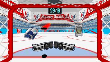 Ice Hockey Goalie 3D