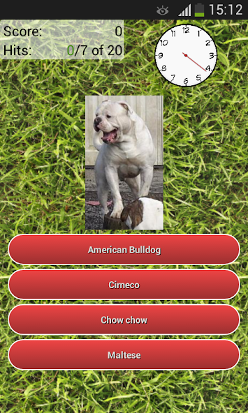 Dog Breeds Quiz