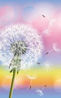 Dandelion Live Wallpaper