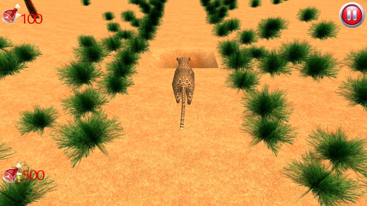 Leopard Run 3D