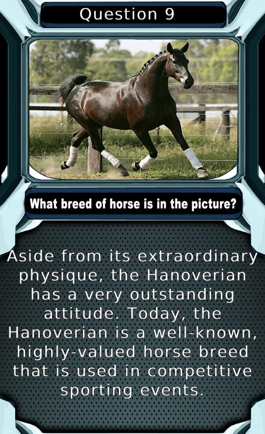 My Horse & Pony Breeds Quiz HD