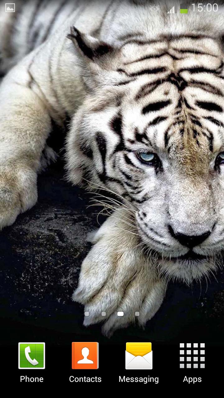 White Tiger Live Wallpaper