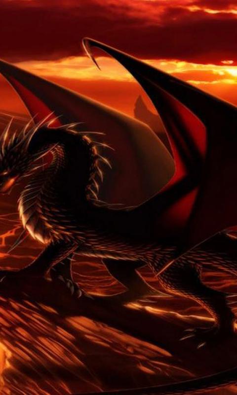 Fire Dragons Wallpapers