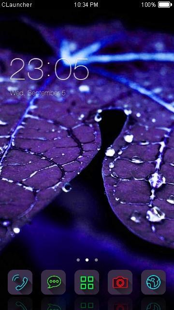 Blue Leaf Water Drop Theme HD