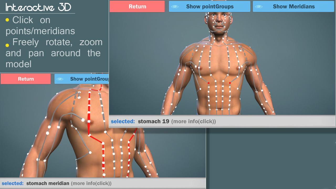 Easy Acupuncture 3D -LITE