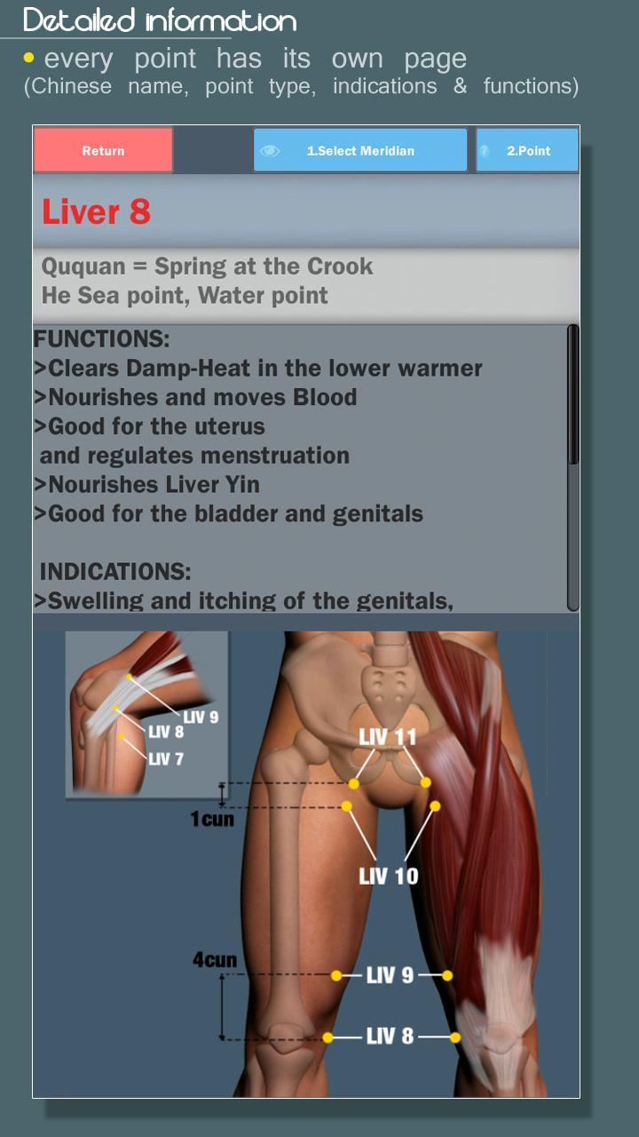 Easy Acupuncture 3D -LITE