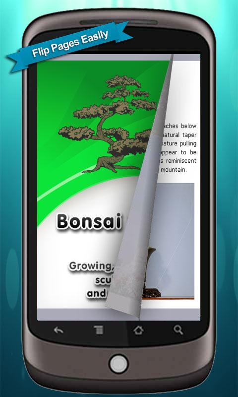 Bonsai Trees