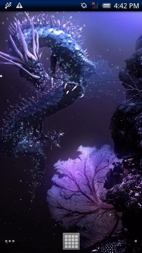 Sea Dragon Black Free