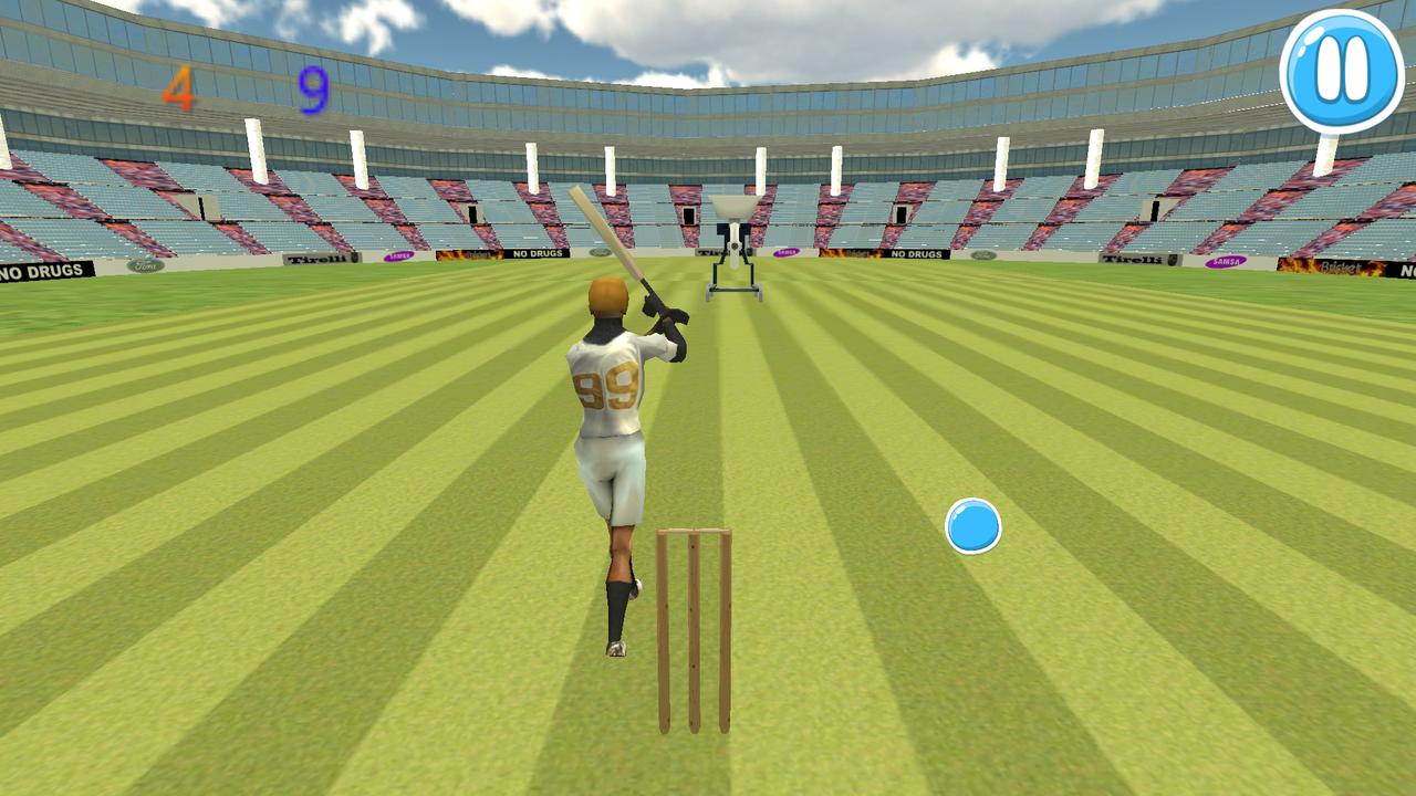 Cricket Bat Ball Hit 3D