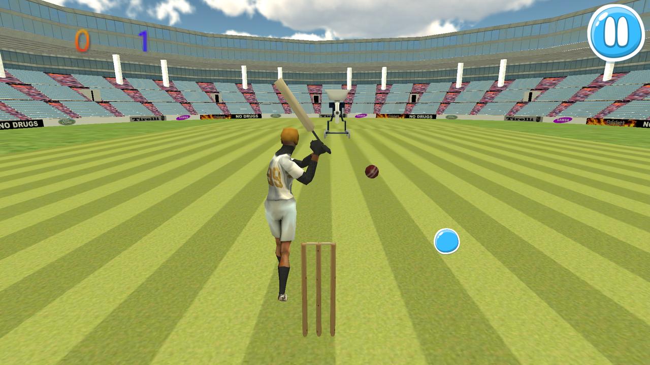 Cricket Bat Ball Hit 3D