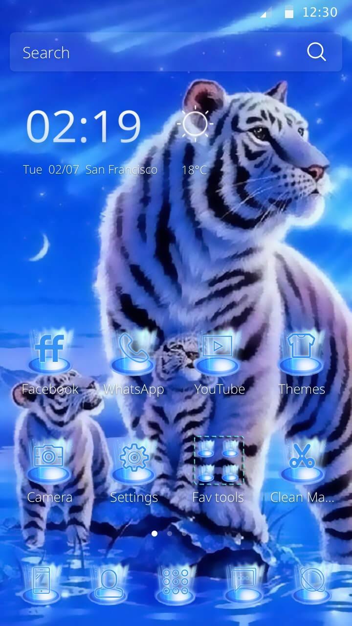 Tiger family