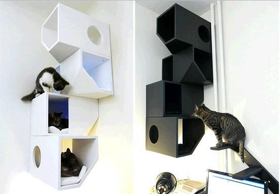 Modern Cat House