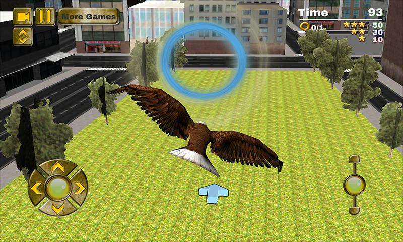 Fast Bird Simulator Rio