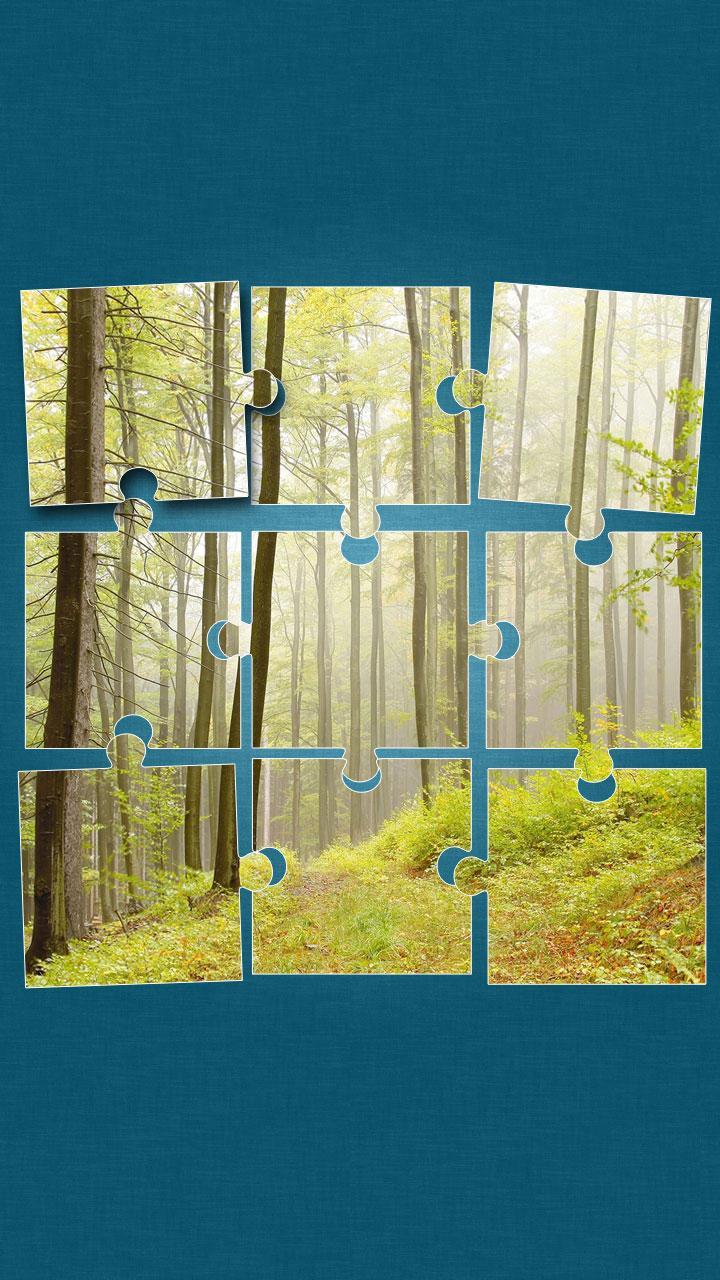 Forest Jigsaw Puzzle