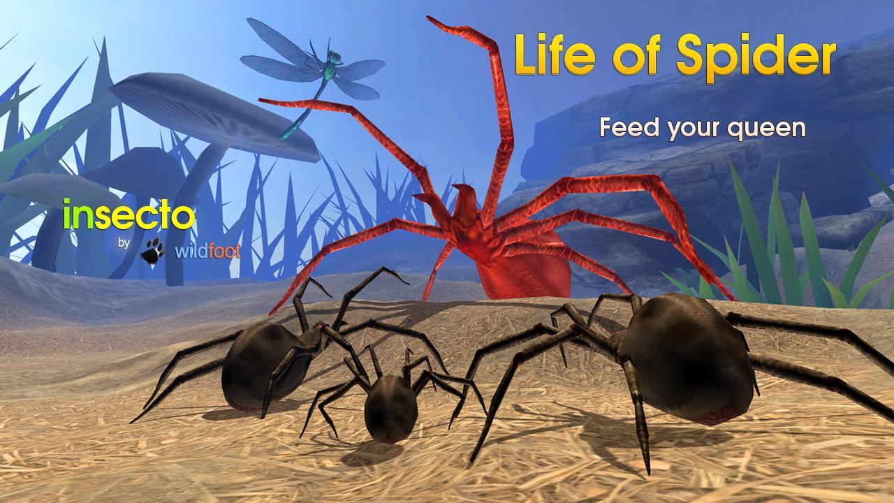 Life of Spider