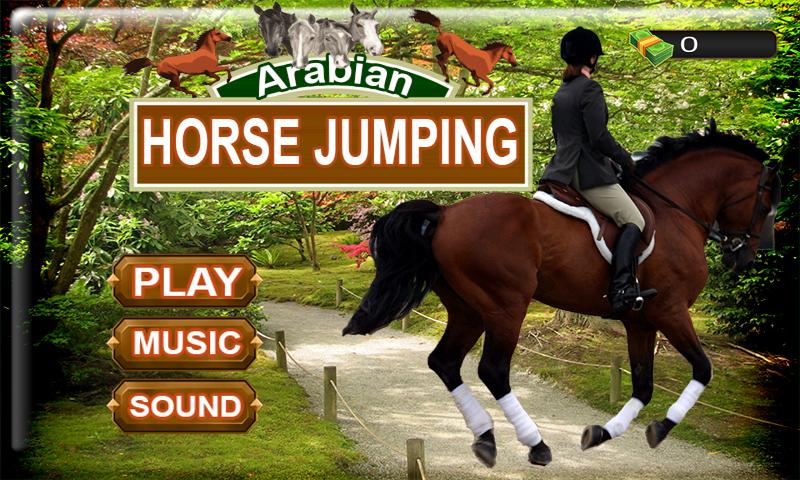 Arabian Horse Jumping