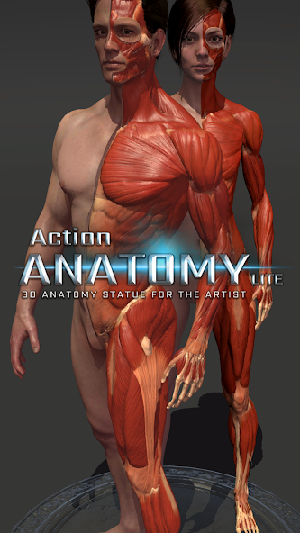 Action Anatomy Lite