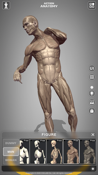 Action Anatomy Lite