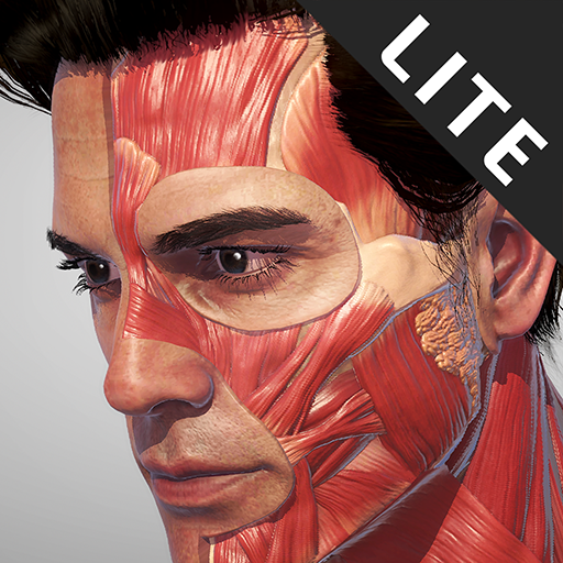 Action Anatomy Lite