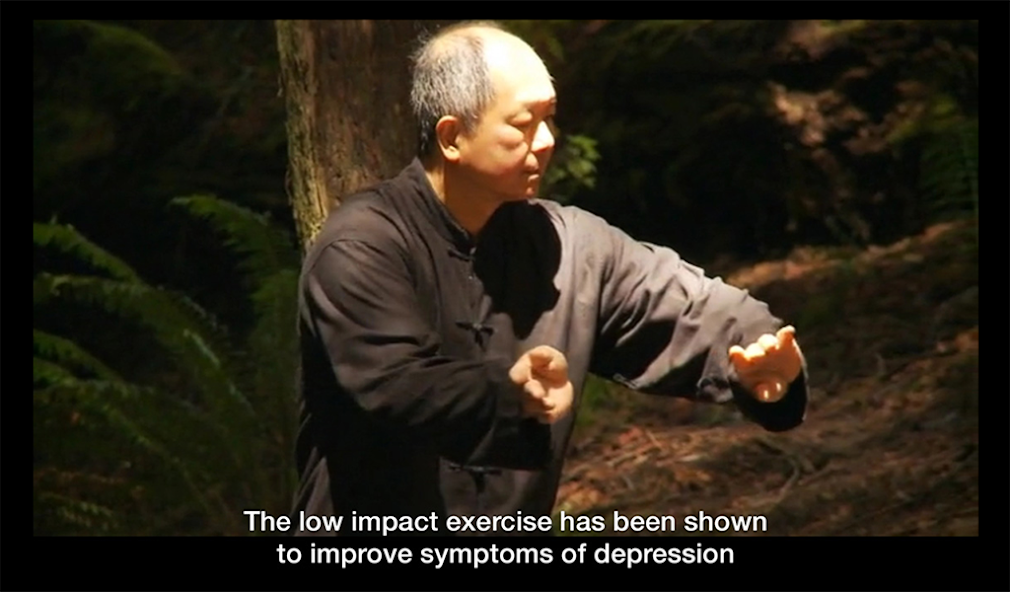 Yang Tai Chi Beginners Part 1