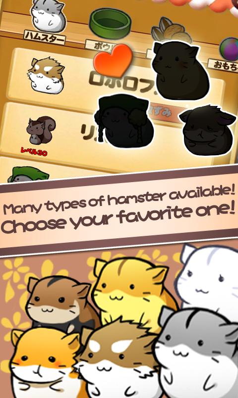 Hamster Life