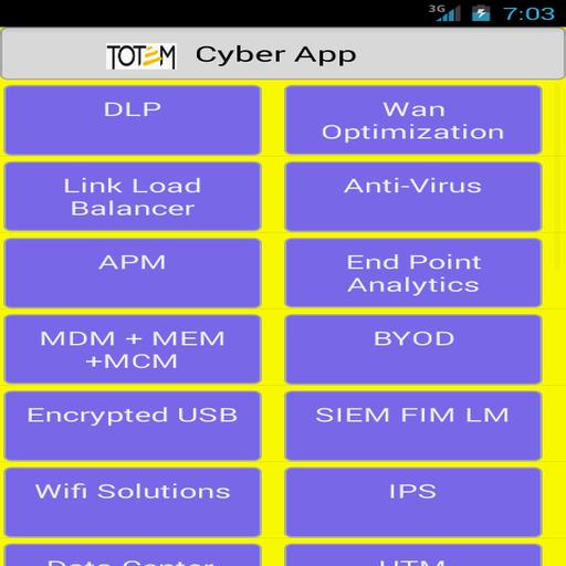 totem cyber security solutions