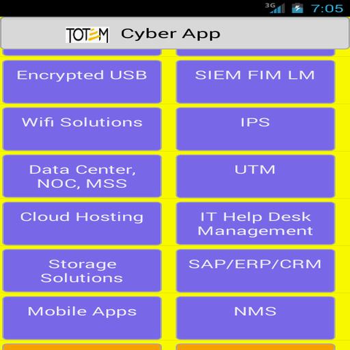 totem cyber security solutions