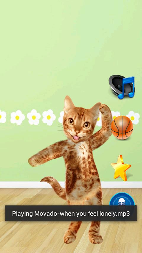 Dancing Talking Cat