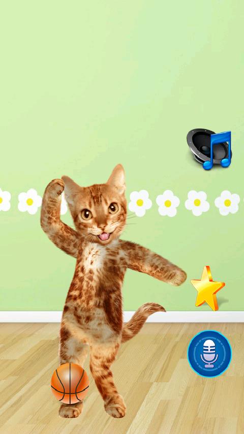 Dancing Talking Cat