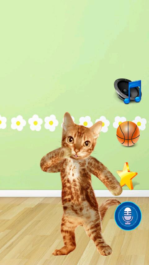 Dancing Talking Cat