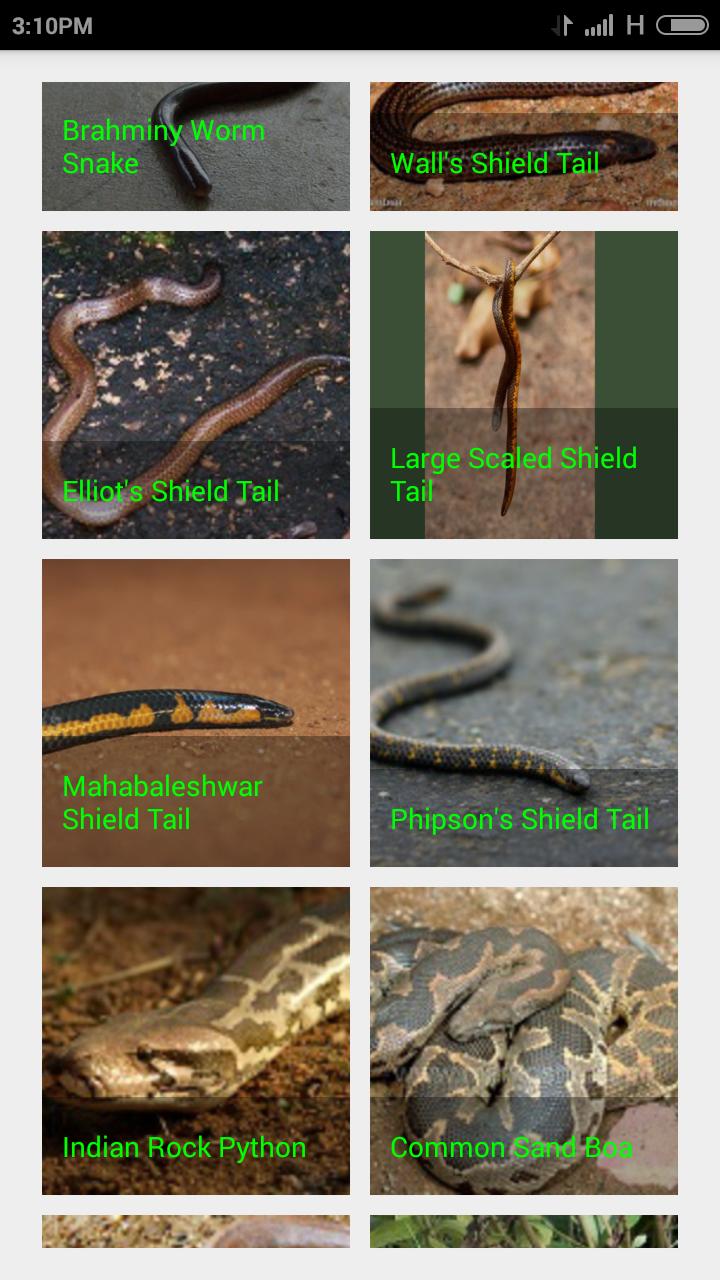 Indian Snakes