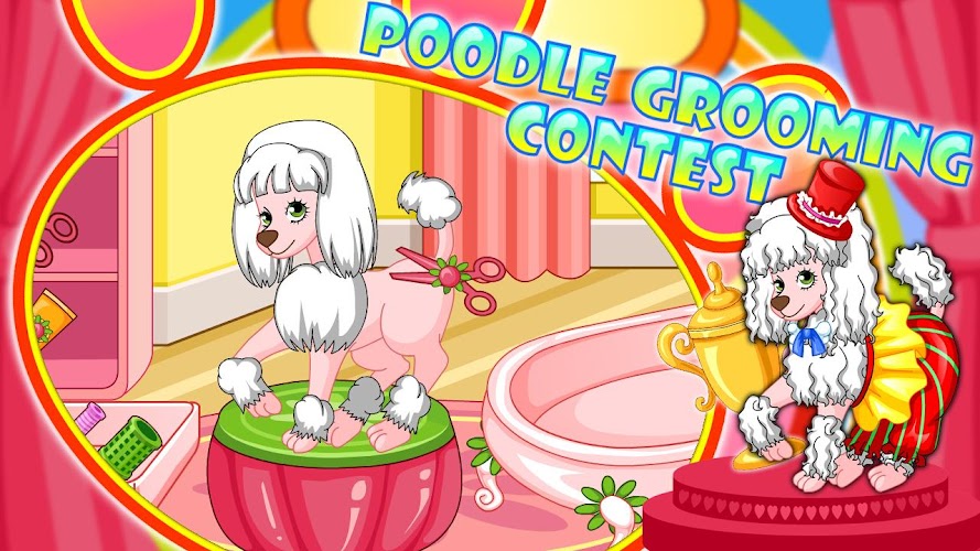 Poodle Beauty Contest