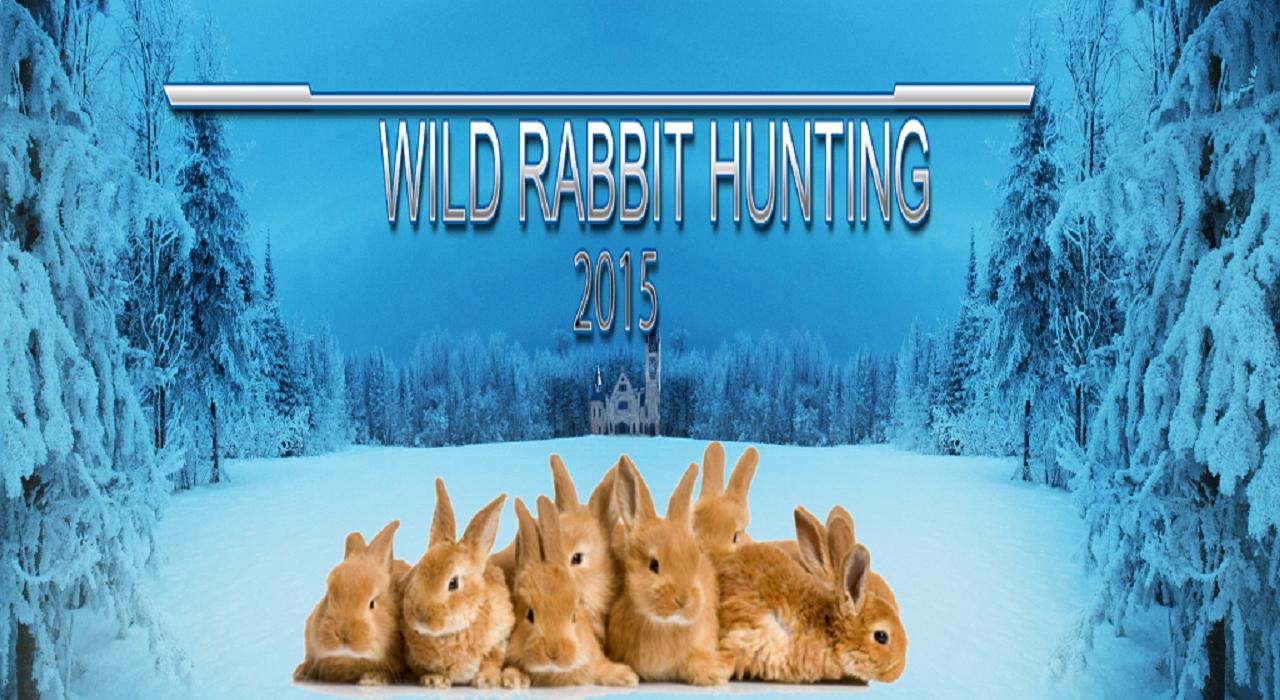 Wild Animal Rabbit Simulator