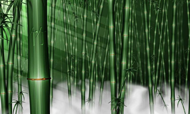 Bamboo wallpapers