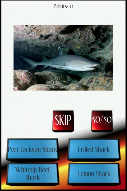 Sharks Picture Quiz