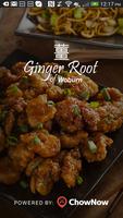 Ginger Root