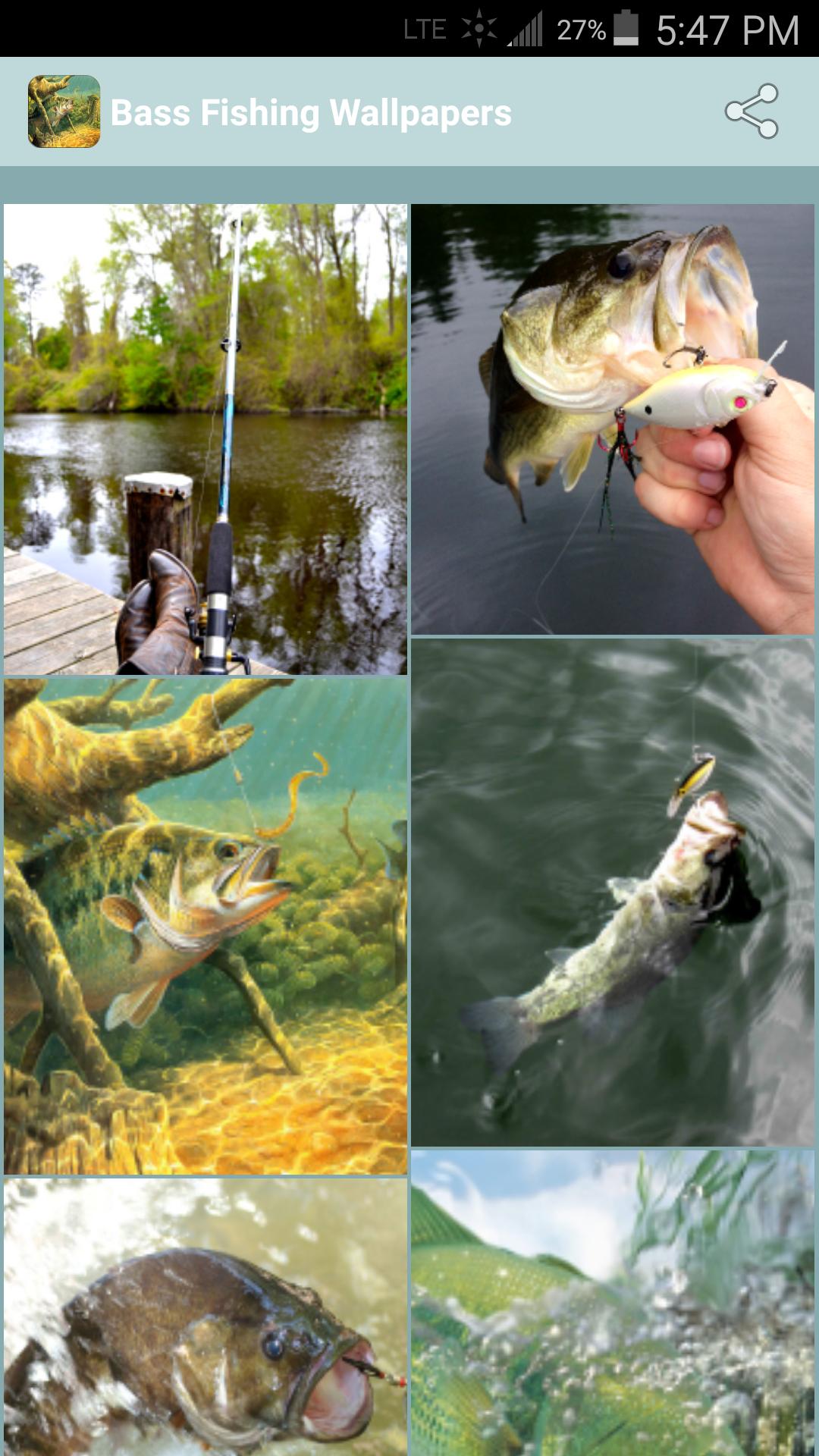 Bass Fishing Wallpapers