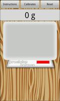 Precision digital scale