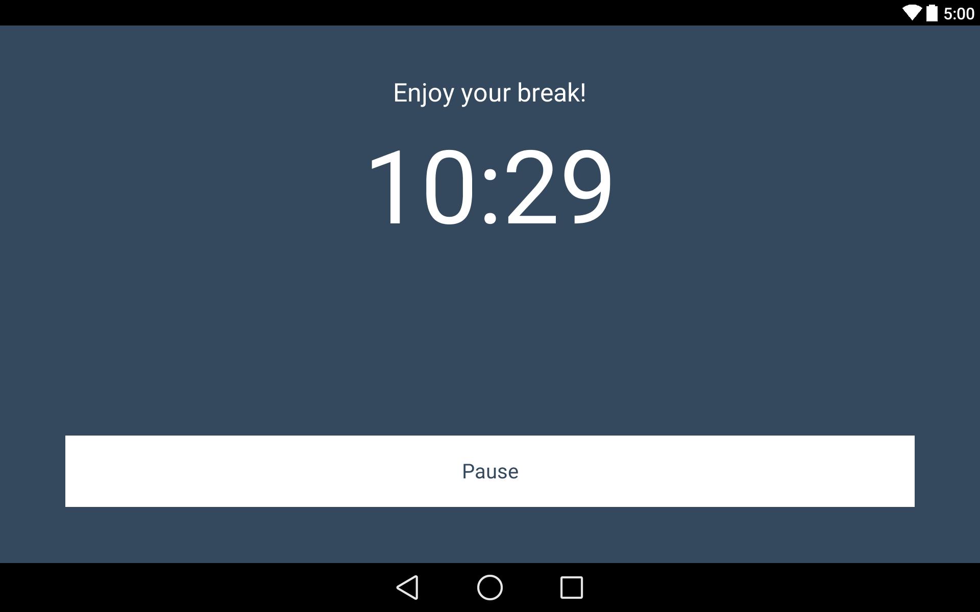 Revision Timer
