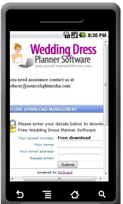 Wedding Dress Secrets